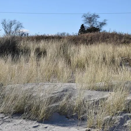 Godewind Hygge Lejlighed