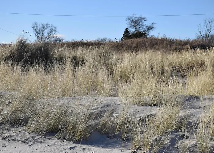 Godewind Hygge Appartement